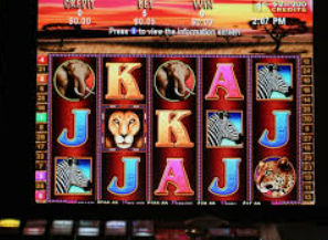 旺财28APP正式版