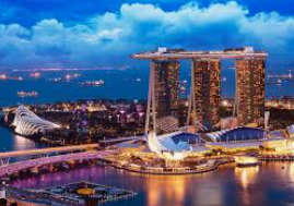 旺财28APP最新版